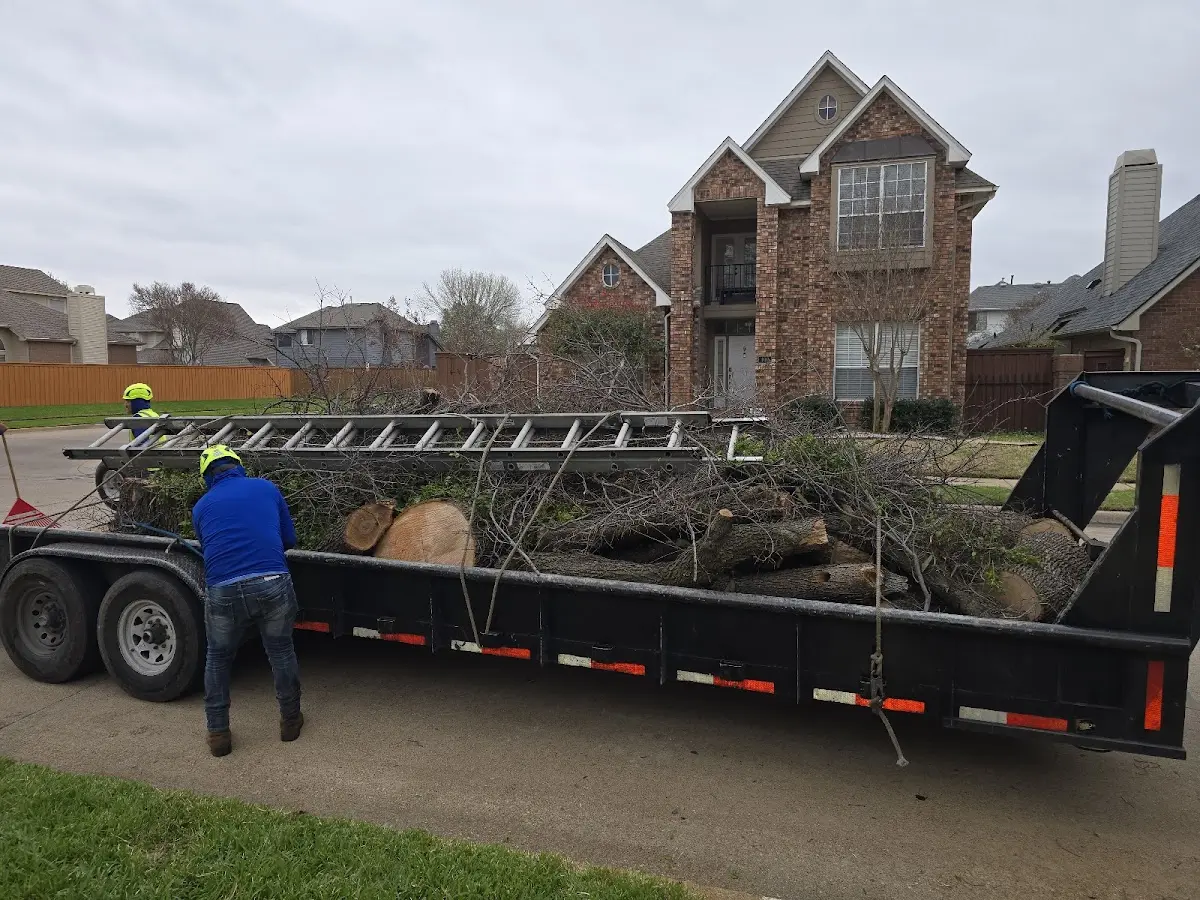 Expert Tree Fertilization with proper safety equipment in Richfield